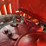 massey-ferguson-101-image-59
