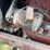 massey-ferguson-22-image-52