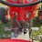 massey-ferguson-super-90-image-47