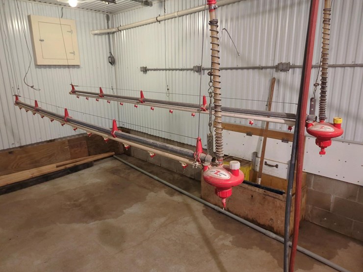 (2)-ziggity-systems-hanging-chicken-watering-systems-image-1