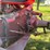 massey-ferguson-65-image-42
