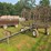 coil-chain-harrow--with-hydraulic-lift,-pull-type-hitch-image-1