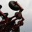 case-ih-8500-image-56