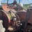 massey-harris-mustang-image-36