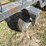 calf-catcher-image-7