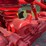 massey-ferguson-101-image-44