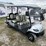 2025-icon-electric-cart-image-2