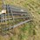 (5)-hay-feeders,-new-image-2