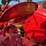 massey-ferguson-101-image-35
