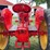 massey-ferguson-350-image-28