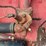 massey-ferguson-55-image-24