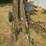 vintage-1-row-corn-binder-image-2