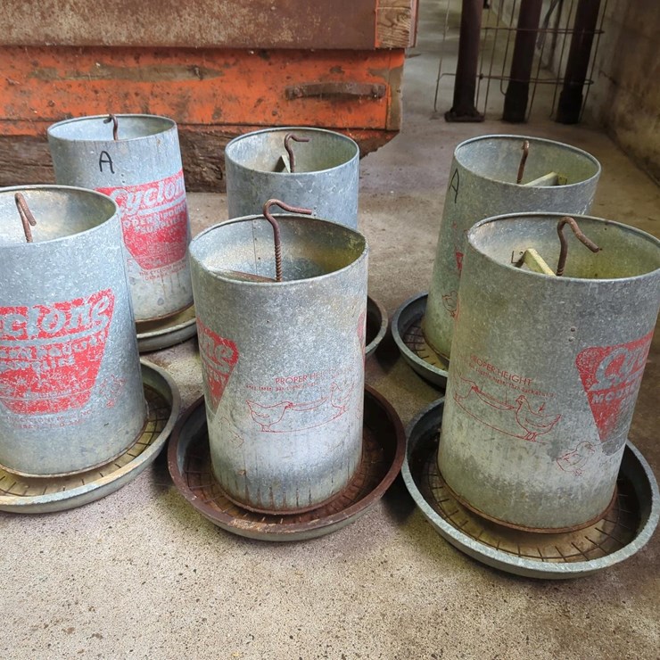 Set of 6 Cyclone Poultry Feeder, Galvanized Metal,