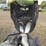 2001-arctic-cat-zl600-esr,-6,608-miles,-reverse-image-44