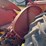 massey-harris-colt-image-30
