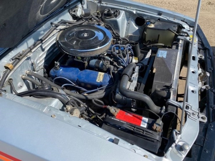 1979-ford-mustang-official-pace-car,-5.0l-v8,auto-image-48