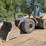 2005-deere-644j-image-1