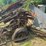vintage-1-row-corn-binder-image-5