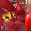 massey-ferguson-30-image-26