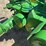 john-deere-model-a-image-30