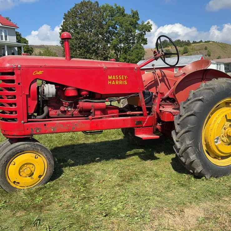 MASSEY-HARRIS COLT