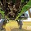 2018-john-deere-r4038-image-67