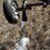 demco-50-image-10