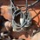 massey-ferguson-444-image-52