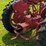 1953-mccormick-farmall-super-h-narrow-front-tractor-image-10