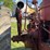 massey-ferguson-44-image-39