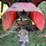 massey-ferguson-444-image-34