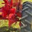 massey-harris-pony-image-21