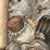 deere-333e-image-9
