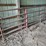 (2)-11.5'-pipe-gate-&-(1)-13'6'-pipe-gate-image-1