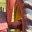 massey-harris-colt-image-18