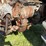 massey-ferguson-97-image-33