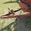 international-103-image-24