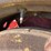 massey-ferguson-444-image-46