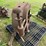 john-deere-luc-image-4
