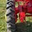 massey-harris-pony-image-17