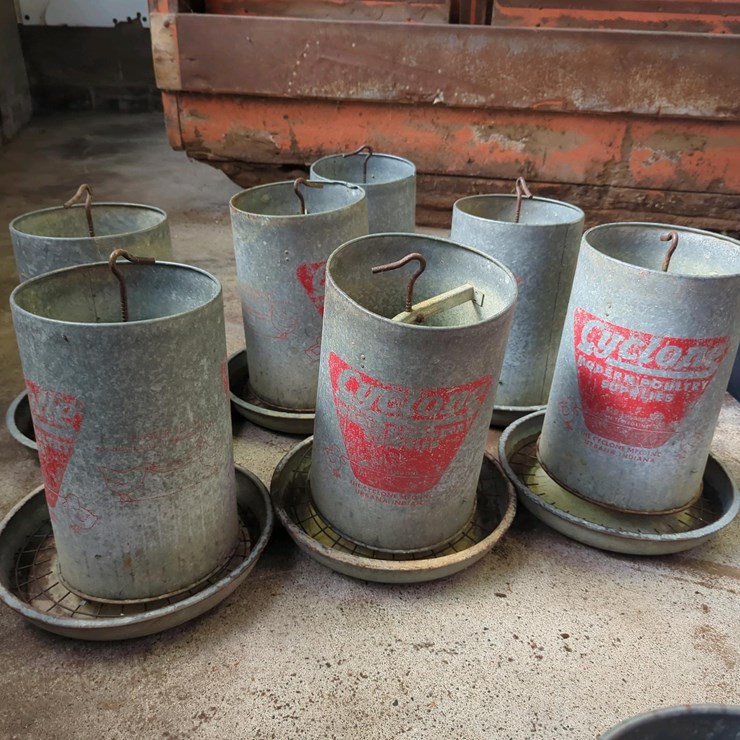 (7) Cyclone Chicken Feeders