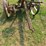 vintage-deering-new-ideal-horse-mower-4'-cutter-bar-image-3