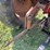 massey-ferguson-44-image-31