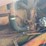 massey-ferguson-333-image-31