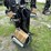 idrive-tds-2010h-projack-m2-electric-trailer-dolly-image-3