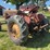 massey-harris-mustang-image-5