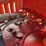 massey-ferguson-101-image-58