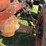 massey-ferguson-97-image-39
