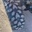 2006-cam-am-outlander-650ho-4x4,-auto,-v-twin-efi-image-28