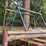 17'-x-6'-x-5'-outdoor-pipe-storage-rack-with-3-shelves,-with-assorted-lumber,-stakes,-and-large-26'-x-6"-pipe-(blue-metal-horses-not-included)-image-7